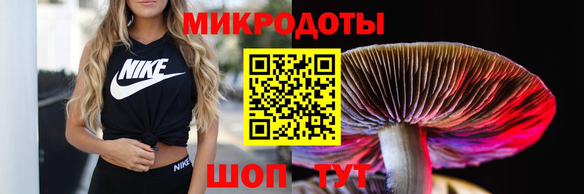 Саяногорск  Галлюциногенные грибы мицелий  Вход с VPN 